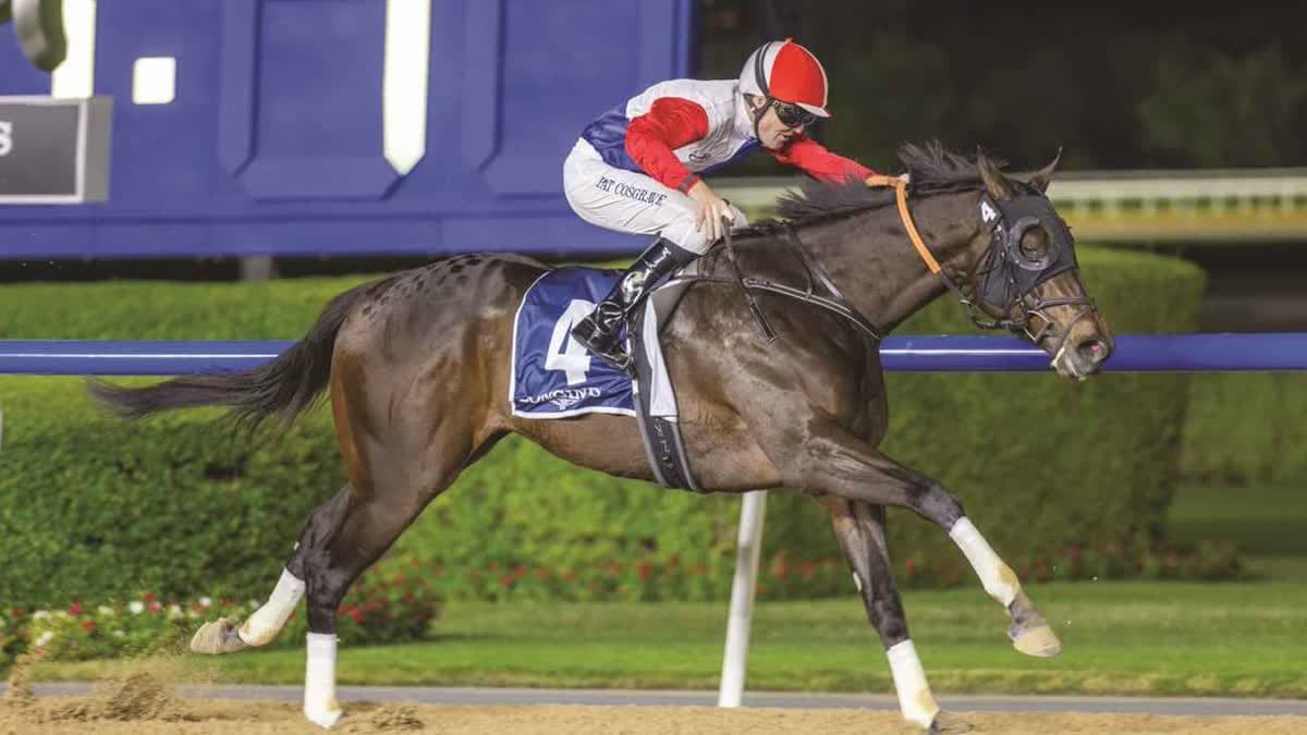 فوريفر يونج