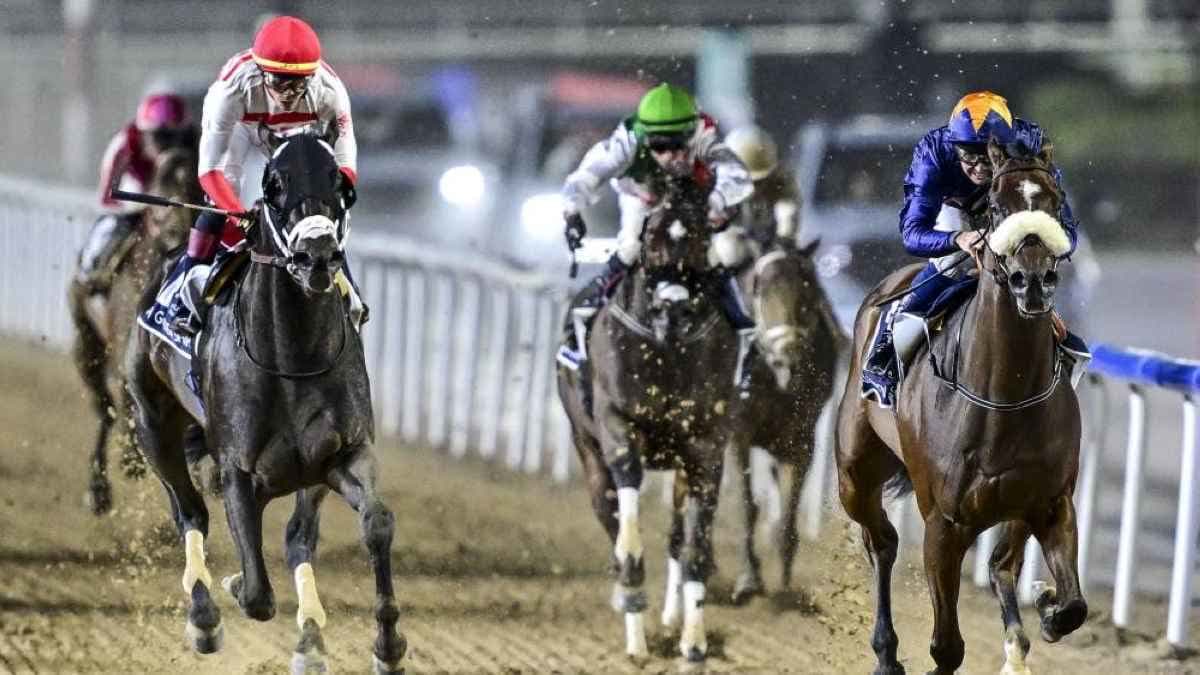 نادي دبي للفروسية