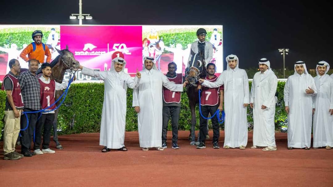 كأس الجساسية للخيل المهجنة الأصيلة