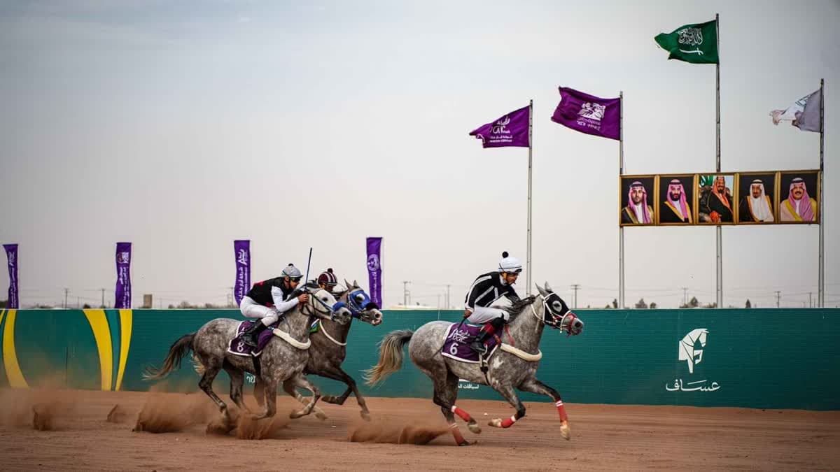 فروسية حائل