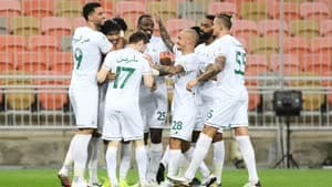 فريق الأهلي