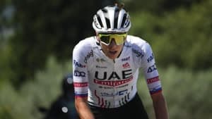 تاديج بوجاكار