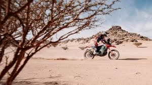 توشا شارينا