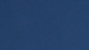 ستيفانو فوكوف وإيلينا ريباكينا 