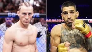 بيمبليت - توبوريا