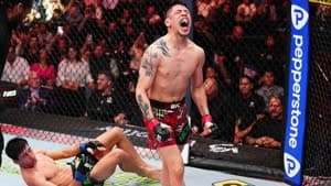 الفنون القتالية