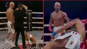  ستيفي تايلو