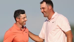 شيفلر وماكلروي