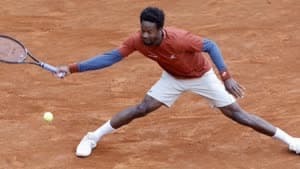 جايل مونفيس