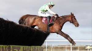 سيليبر دالين