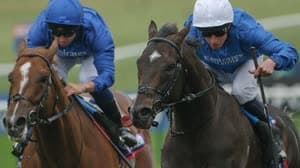 رولينج كورت وشادو اوف لايت