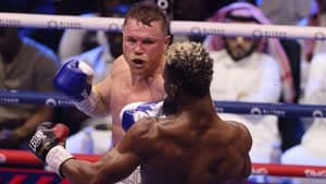 وسع ألفاريز سجله إلى 63 فوزًا احترافيًا مع خسارتين وتعادلين ما ألحق أول هزيمة في مسيرته بسكل