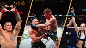 الفنون القتالية 