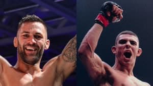 الفنون القتالية 