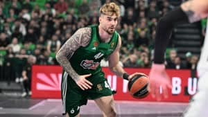 هيرنانغوميز 