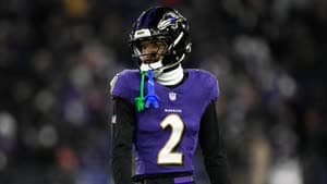 نيت ويجينير