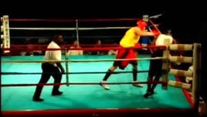 تايسون فيوري