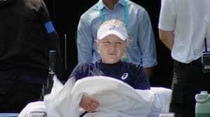 هارييت دارت