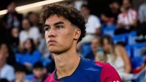 نوح دارفيتش 