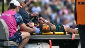  نوح لوليسيو