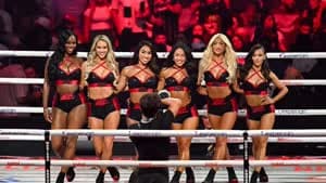  فتيات الحلبة