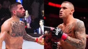 بورييه  - توبوريا 