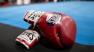 اليابان تعتمد قواعد سلامة أكثر صرامة بعد الوفيات