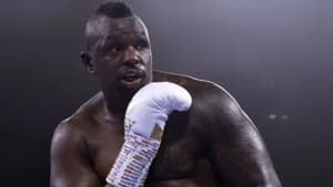 ديليان وايت