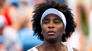 فينوس ويليامز