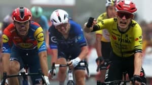 جوناس فينجيجارد