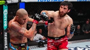 الفنون القتالية