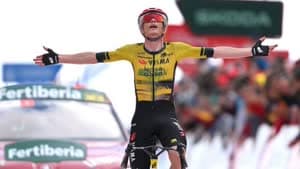 جوناس فينجيجارد