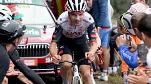  جواو ألميدا