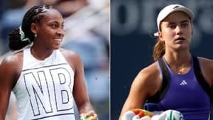 جوف ويوفيتش