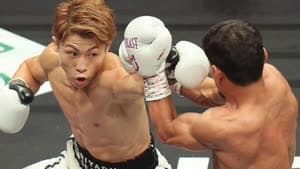  ناويا إينوي