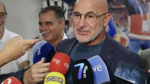 لويس دي لا فوينتي