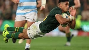 ساشا فينبيرج-منجوميزولو 