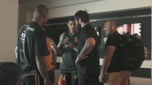 أليكس بيريرا