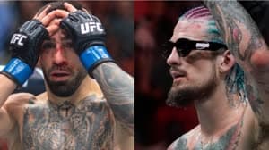 إيليا توبوريا