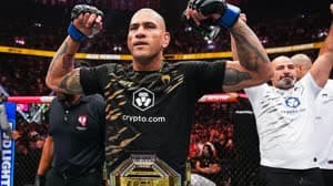 أليكس بيريرا