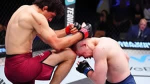 أدريان لونا مارتينيتي ومارك فولودين