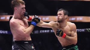 نورماغوميدوف وهيوز