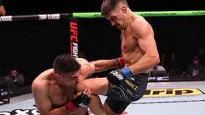 جويل ألفاريز