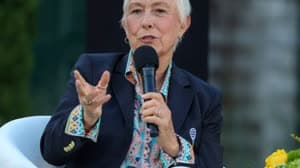 مارتينا نافراتيلوفا