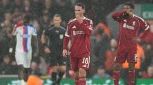 ماك أليستر وجو جوميز