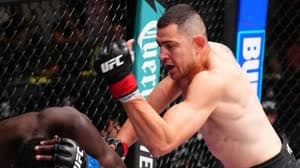 ستيف جارسيا 