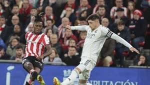 فيدي فالفيردي