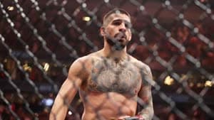 إيليا توبوريا.