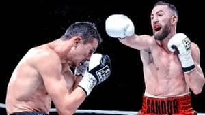 ساندور مارتين