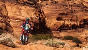 توشا شارينا 